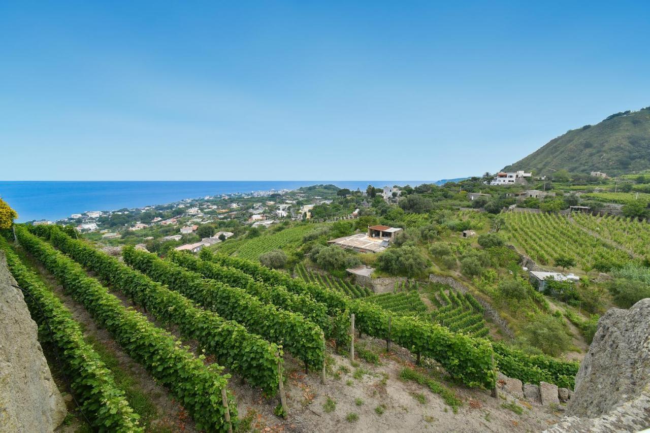 Tenuta C'Est La Vie Forio  Exterior photo
